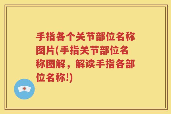 手指各个关节部位名称图片(手指关节部位名称图解,解读手指各部位名称!) 手指各个关节部位名称图片(手指关节部位名称图解,解读手指各部位名称!)