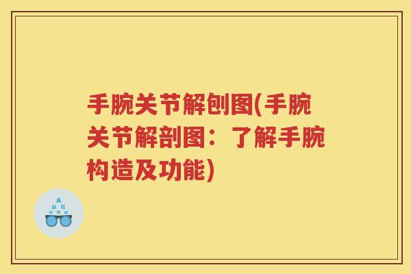 手腕关节解刨图(手腕关节解剖图：了解手腕构造及功能)