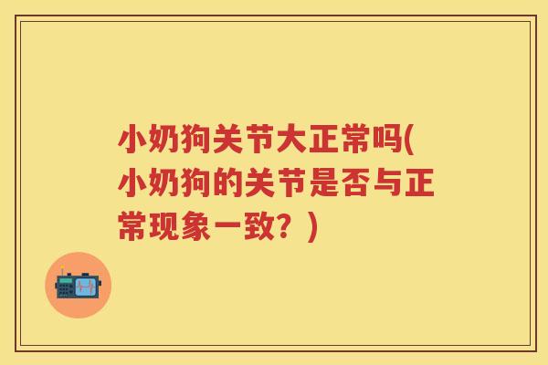 小奶狗关节大正常吗(小奶狗的关节是否与正常现象一致?) 小奶狗关节大正常吗(小奶狗的关节是否与正常现象一致?)