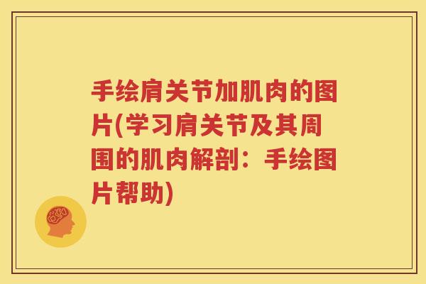 手绘肩关节加肌肉的图片(学习肩关节及其周围的肌肉解剖:手绘图片帮助) 手绘肩关节加肌肉的图片(学习肩关节及其周围的肌肉解剖:手绘图片帮助)