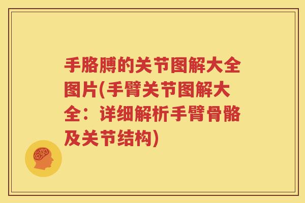 手胳膊的关节图解大全图片(手臂关节图解大全：详细解析手臂骨骼及关节结构)