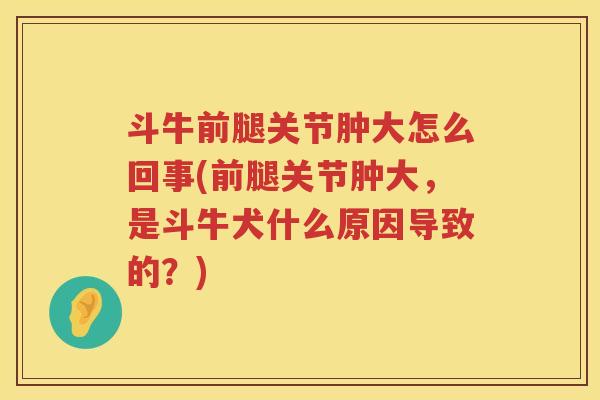 斗牛前腿关节肿大怎么回事(前腿关节肿大,是斗牛犬什么原因导致的?) 斗牛前腿关节肿大怎么回事(前腿关节肿大,是斗牛犬什么原因导致的?)