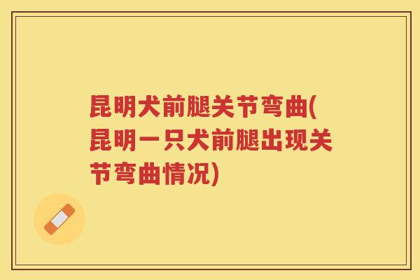 昆明犬前腿关节弯曲(昆明一只犬前腿出现关节弯曲情况) 昆明犬前腿关节弯曲(昆明一只犬前腿出现关节弯曲情况)