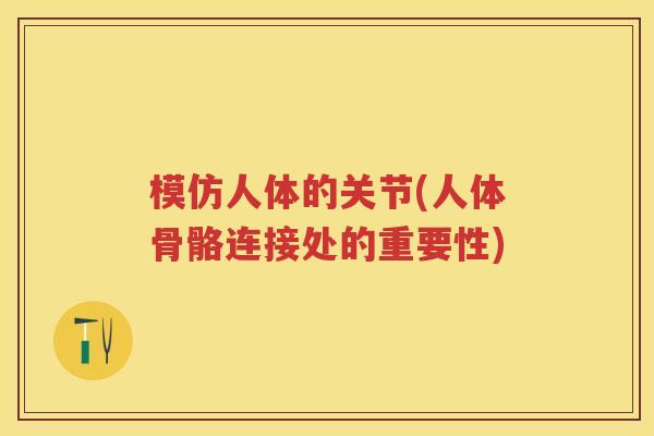 模仿人体的关节(人体骨骼连接处的重要性) 模仿人体的关节(人体骨骼连接处的重要性)