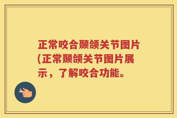 正常咬合颞颌关节图片(正常颞颌关节图片展示,了解咬合功能。 正常咬合颞颌关节图片(正常颞颌关节图片展示,了解咬合功能。
