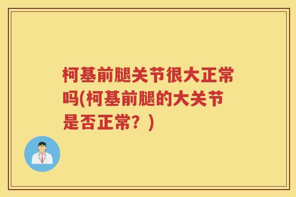 柯基前腿关节很大正常吗(柯基前腿的大关节是否正常?) 柯基前腿关节很大正常吗(柯基前腿的大关节是否正常?)