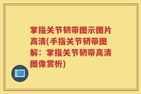 掌指关节韧带图示图片高清(手指关节韧带图解:掌指关节韧带高清图像赏析) 掌指关节韧带图示图片高清(手指关节韧带图解:掌指关节韧带高清图像赏析)