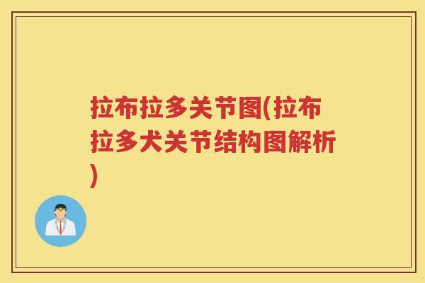 拉布拉多关节图(拉布拉多犬关节结构图解析)