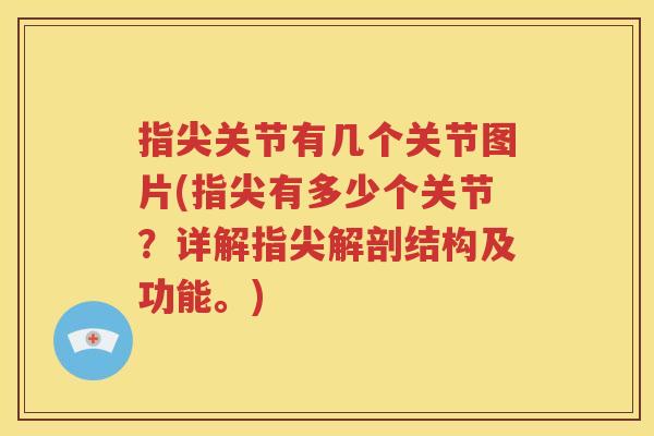 指尖关节有几个关节图片(指尖有多少个关节?详解指尖解剖结构及功能。) 指尖关节有几个关节图片(指尖有多少个关节?详解指尖解剖结构及功能。)