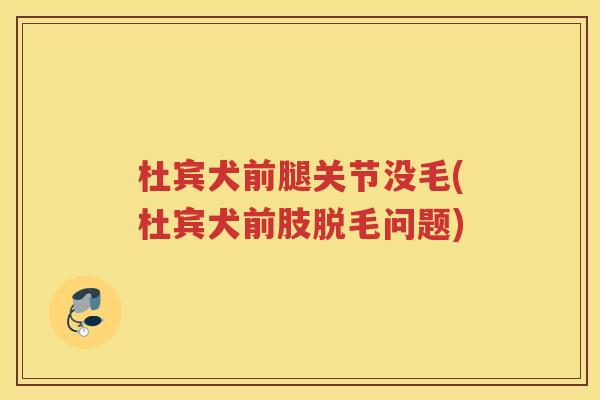 杜宾犬前腿关节没毛(杜宾犬前肢脱毛问题) 杜宾犬前腿关节没毛(杜宾犬前肢脱毛问题)