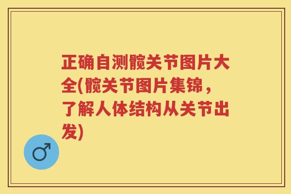 正确自测髋关节图片大全(髋关节图片集锦,了解人体结构从关节出发) 正确自测髋关节图片大全(髋关节图片集锦,了解人体结构从关节出发)