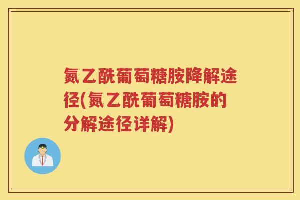 氮乙酰葡萄糖胺降解途径(氮乙酰葡萄糖胺的分解途径详解)