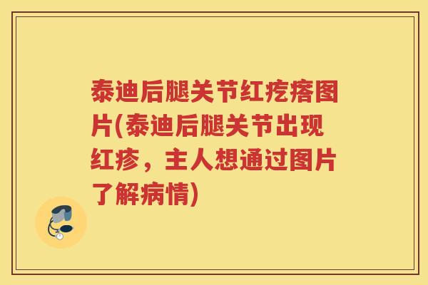 泰迪后腿关节红疙瘩图片(泰迪后腿关节出现红疹，主人想通过图片了解情)