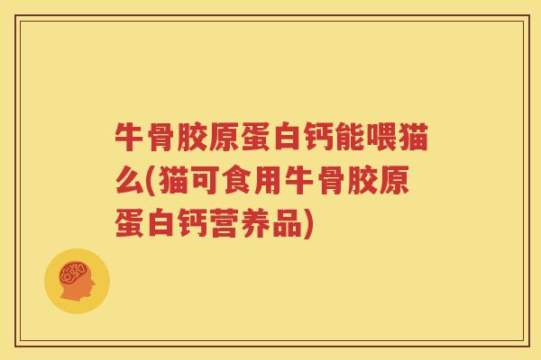 牛骨胶原蛋白钙能喂猫么(猫可食用牛骨胶原蛋白钙营养品) 牛骨胶原蛋白钙能喂猫么(猫可食用牛骨胶原蛋白钙营养品)