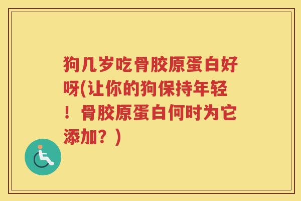 狗几岁吃骨胶原蛋白好呀(让你的狗保持年轻!骨胶原蛋白何时为它添加?) 狗几岁吃骨胶原蛋白好呀(让你的狗保持年轻!骨胶原蛋白何时为它添加?)