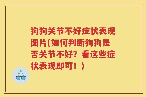狗狗关节不好症状表现图片(如何判断狗狗是否关节不好？看这些症状表现即可！)