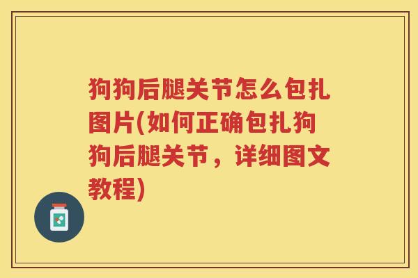 狗狗后腿关节怎么包扎图片(如何正确包扎狗狗后腿关节，详细图文教程)