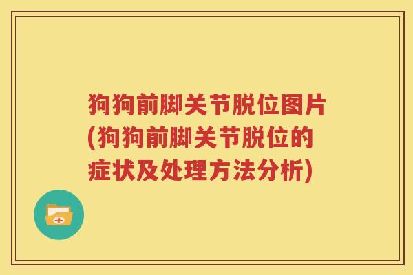狗狗前脚关节脱位图片(狗狗前脚关节脱位的症状及处理方法分析)