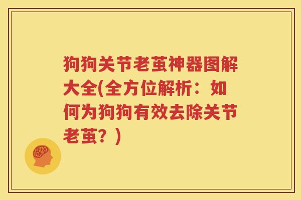 狗狗关节老茧神器图解大全(全方位解析:如何为狗狗有效去除关节老茧?) 狗狗关节老茧神器图解大全(全方位解析:如何为狗狗有效去除关节老茧?)