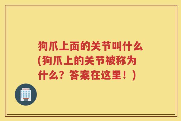 狗爪上面的关节叫什么(狗爪上的关节被称为什么？答案在这里！)