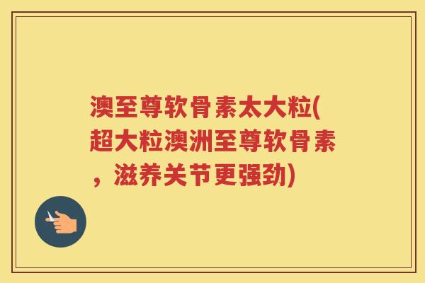 澳至尊软骨素太大粒(超大粒澳洲至尊软骨素，滋养关节更强劲)