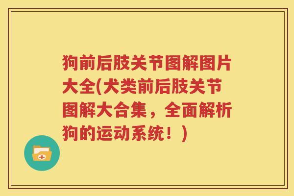 狗前后肢关节图解图片大全(犬类前后肢关节图解大合集，全面解析狗的运动系统！)