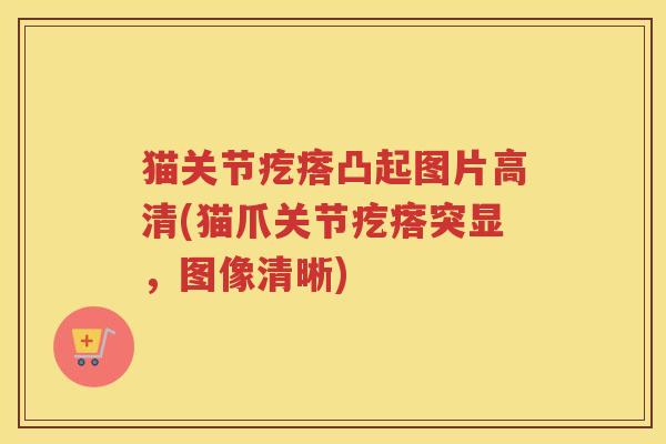 猫关节疙瘩凸起图片高清(猫爪关节疙瘩突显，图像清晰)