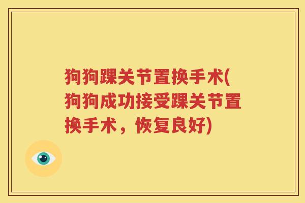狗狗踝关节置换手术(狗狗成功接受踝关节置换手术,恢复良好) 狗狗踝关节置换手术(狗狗成功接受踝关节置换手术,恢复良好)