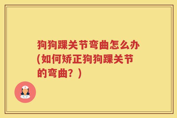 狗狗踝关节弯曲怎么办(如何矫正狗狗踝关节的弯曲？)