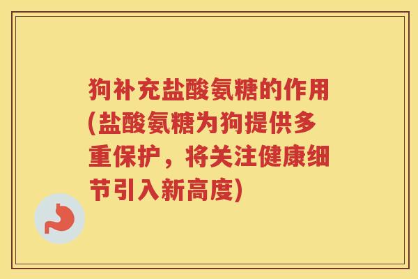 狗补充盐酸氨糖的作用(盐酸氨糖为狗提供多重保护，将关注健康细节引入新高度)