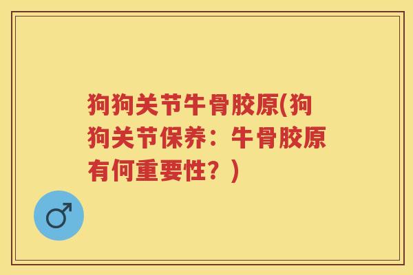 狗狗关节牛骨胶原(狗狗关节保养:牛骨胶原有何重要性?) 狗狗关节牛骨胶原(狗狗关节保养:牛骨胶原有何重要性?)