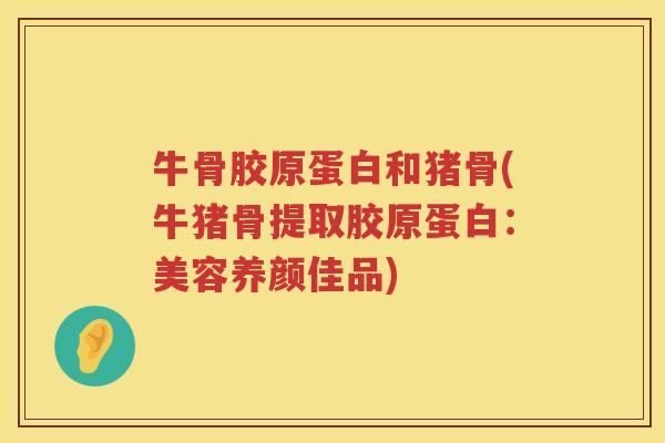 牛骨胶原蛋白和猪骨(牛猪骨提取胶原蛋白:美容养颜佳品) 牛骨胶原蛋白和猪骨(牛猪骨提取胶原蛋白:美容养颜佳品)