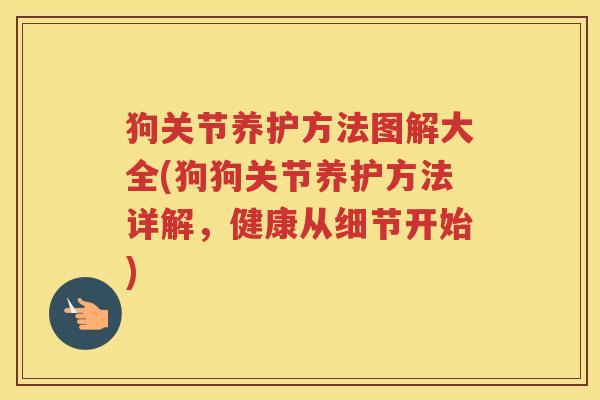 狗关节养护方法图解大全(狗狗关节养护方法详解，健康从细节开始)