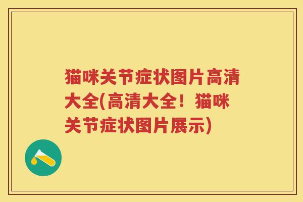 猫咪关节症状图片高清大全(高清大全！猫咪关节症状图片展示)