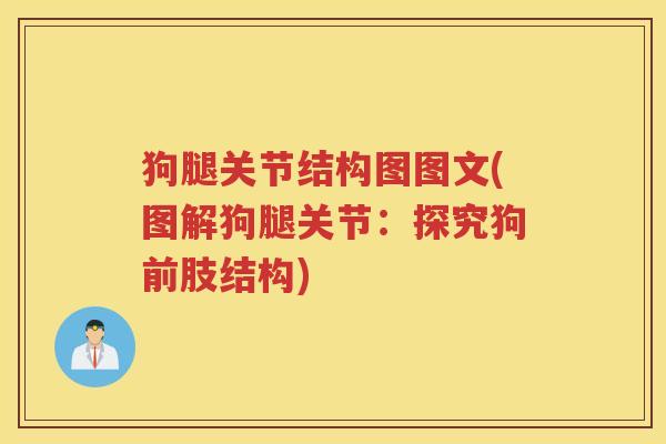 狗腿关节结构图图文(图解狗腿关节：探究狗前肢结构)