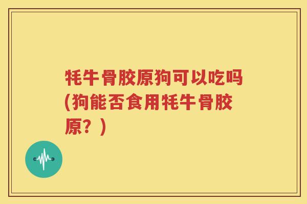 牦牛骨胶原狗可以吃吗(狗能否食用牦牛骨胶原?) 牦牛骨胶原狗可以吃吗(狗能否食用牦牛骨胶原?)