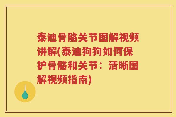 泰迪骨骼关节图解视频讲解(泰迪狗狗如何保护骨骼和关节:清晰图解视频指南) 泰迪骨骼关节图解视频讲解(泰迪狗狗如何保护骨骼和关节:清晰图解视频指南)