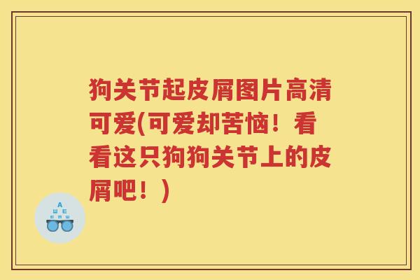 狗关节起皮屑图片高清可爱(可爱却苦恼!看看这只狗狗关节上的皮屑吧!) 狗关节起皮屑图片高清可爱(可爱却苦恼!看看这只狗狗关节上的皮屑吧!)