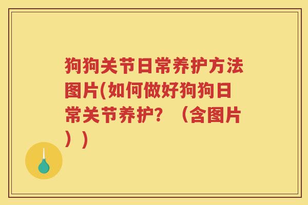 狗狗关节日常养护方法图片(如何做好狗狗日常关节养护?(含图片)) 狗狗关节日常养护方法图片(如何做好狗狗日常关节养护?(含图片))