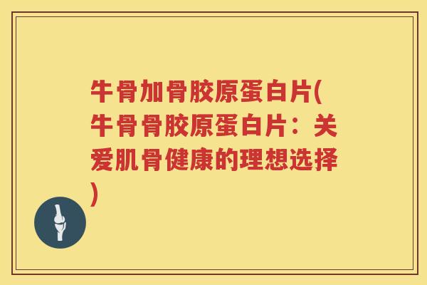 牛骨加骨胶原蛋白片(牛骨骨胶原蛋白片:关爱肌骨健康的理想选择) 牛骨加骨胶原蛋白片(牛骨骨胶原蛋白片:关爱肌骨健康的理想选择)
