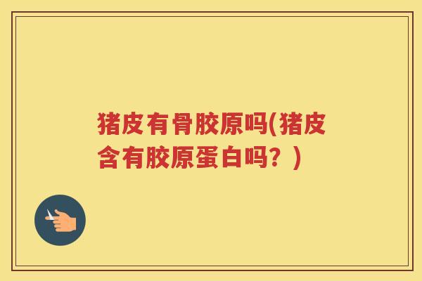 猪皮有骨胶原吗(猪皮含有胶原蛋白吗？)