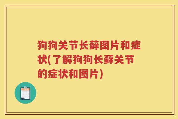 狗狗关节长藓图片和症状(了解狗狗长藓关节的症状和图片) 狗狗关节长藓图片和症状(了解狗狗长藓关节的症状和图片)