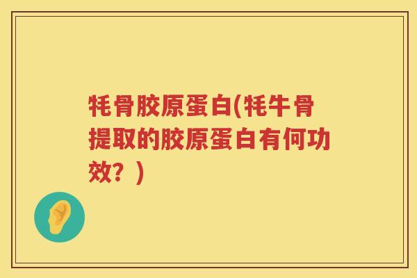 牦骨胶原蛋白(牦牛骨提取的胶原蛋白有何功效？)