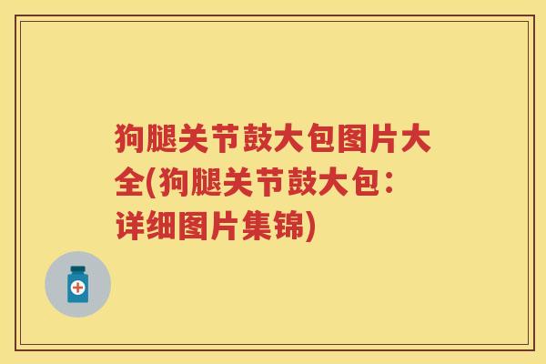 狗腿关节鼓大包图片大全(狗腿关节鼓大包:详细图片集锦) 狗腿关节鼓大包图片大全(狗腿关节鼓大包:详细图片集锦)