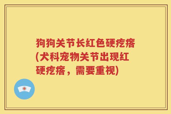 狗狗关节长红色硬疙瘩(犬科宠物关节出现红硬疙瘩,需要重视) 狗狗关节长红色硬疙瘩(犬科宠物关节出现红硬疙瘩,需要重视)