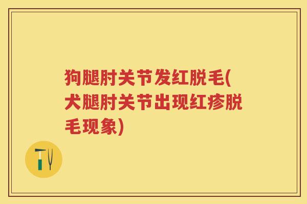 狗腿肘关节发红脱毛(犬腿肘关节出现红疹脱毛现象) 狗腿肘关节发红脱毛(犬腿肘关节出现红疹脱毛现象)