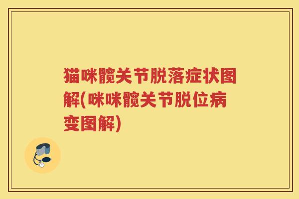 猫咪髋关节脱落症状图解(咪咪髋关节脱位变图解) 猫咪髋关节脱落症状图解(咪咪髋关节脱位变图解)