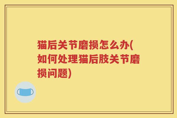 猫后关节磨损怎么办(如何处理猫后肢关节磨损问题) 猫后关节磨损怎么办(如何处理猫后肢关节磨损问题)