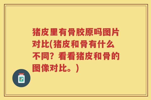 猪皮里有骨胶原吗图片对比(猪皮和骨有什么不同?看看猪皮和骨的图像对比。) 猪皮里有骨胶原吗图片对比(猪皮和骨有什么不同?看看猪皮和骨的图像对比。)