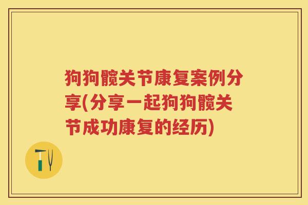 狗狗髋关节康复案例分享(分享一起狗狗髋关节成功康复的经历) 狗狗髋关节康复案例分享(分享一起狗狗髋关节成功康复的经历)